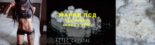 СК Володарск