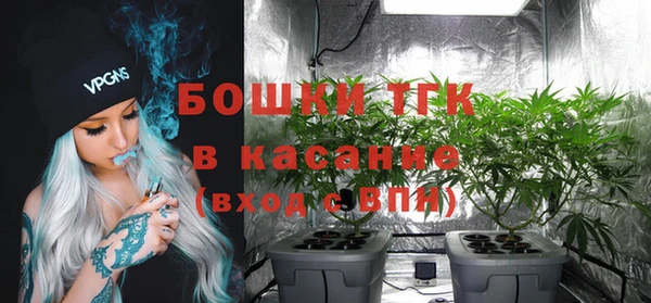 ALPHA PVP Верхний Тагил