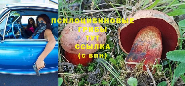 СК Володарск