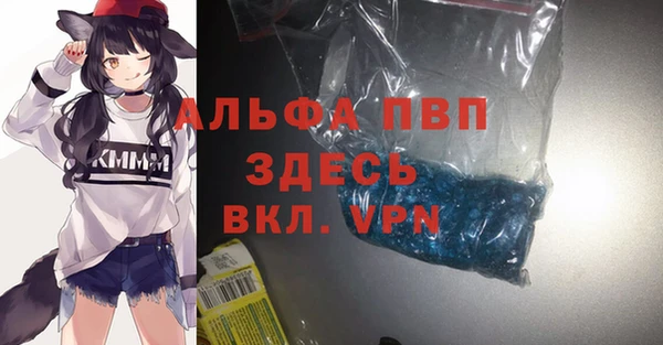 СК Володарск