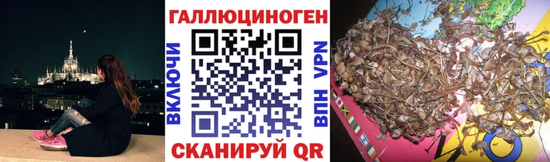 Псилоцибиновые грибы ЛСД  hydra ТОР  Волжский 