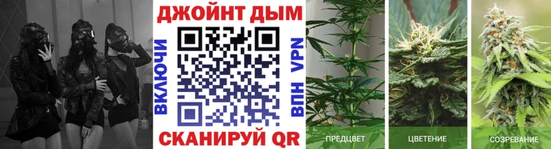 Конопля White Widow  купить   Волжский 